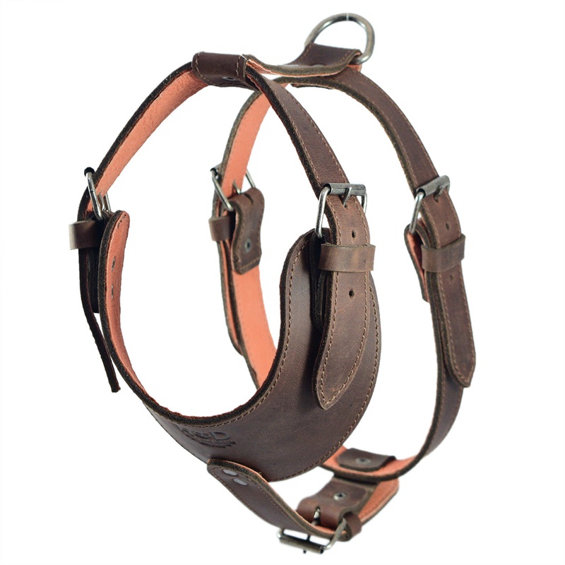 Dog Harness
