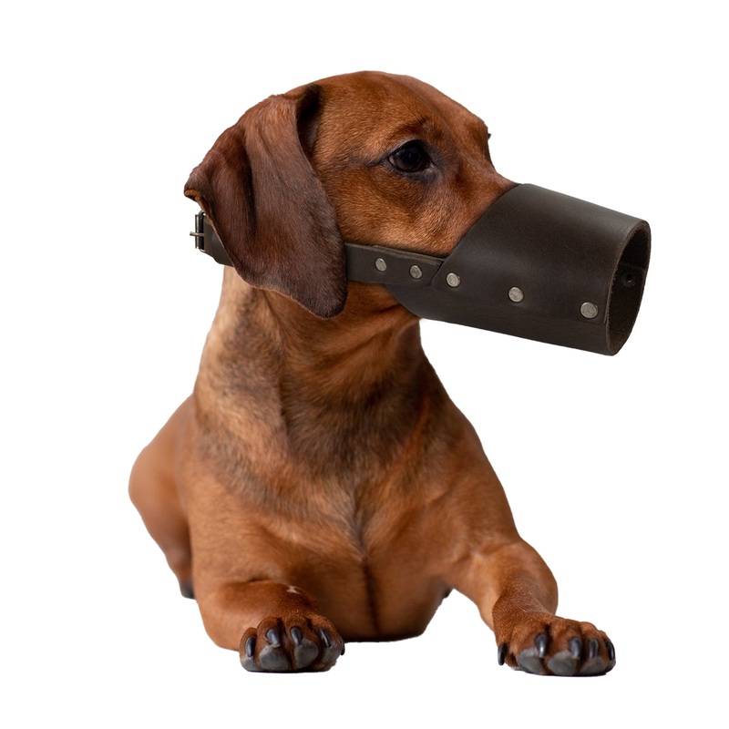 Riveted Dog Muzzle