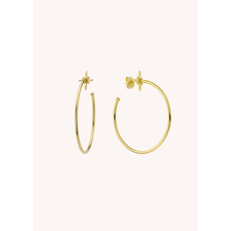 Earring Bo-259g Gold