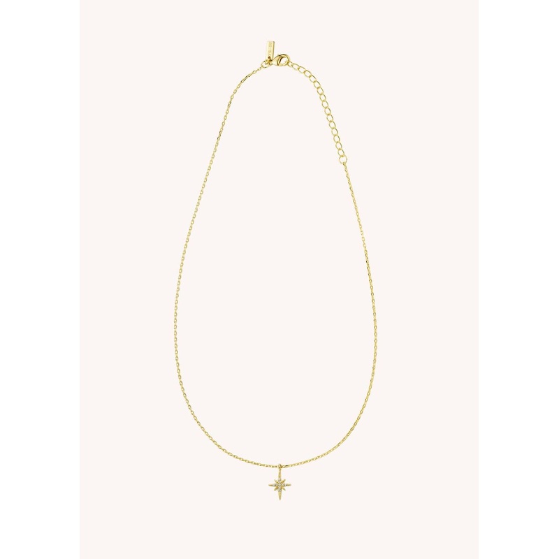 Necklace Co-116g Gold