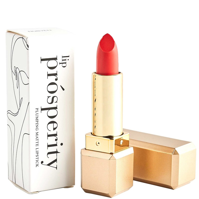 Nubyn Lip Prosperity Plumping Matte Lipstick 5ml (Various Shades)