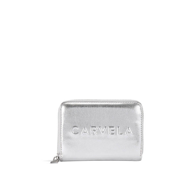 FRAME MINI PURSE
