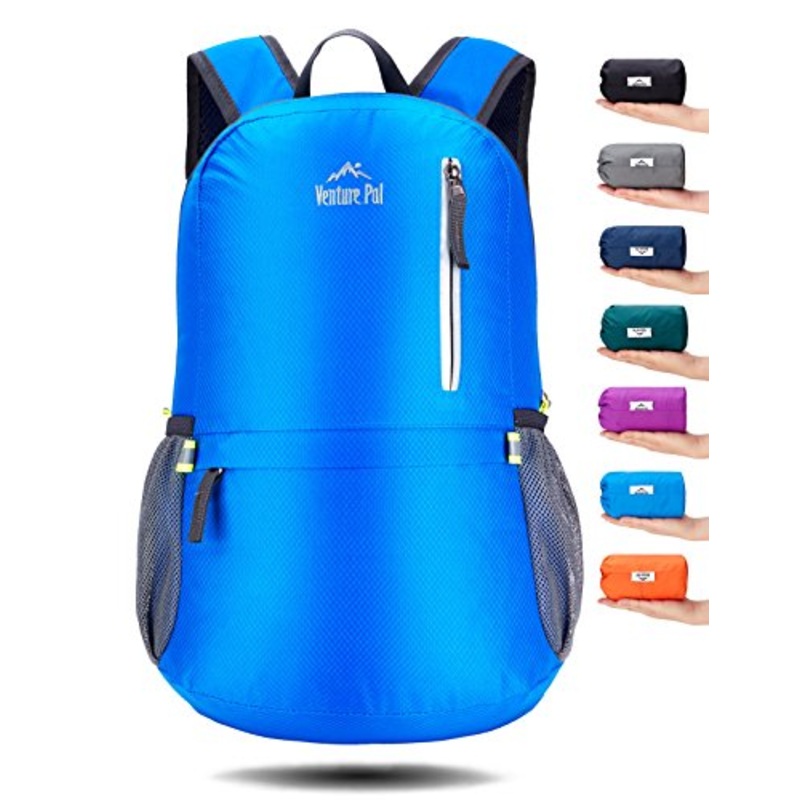 Venture Pal 25L Travel Backpack - Durable Packable Lightweight Small Backpack For Women Men (Blue)