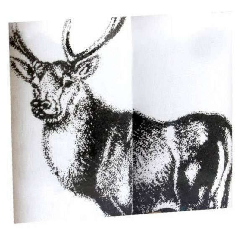 Sophos 2 Pack Stag Handkerchief - White/Black