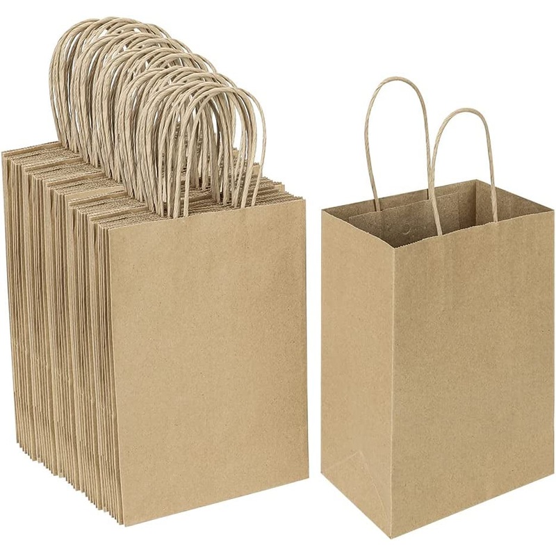 Oikss 100 Pack 5.25X3.25X8.25 Inch Small Plain Natural Kraft Paper Gift Bags with Handles Bulk for Birthday Party Favors Grocery Retail Shopping Business Goody Craft Bags Cub Sacks (Brown 100 Count)