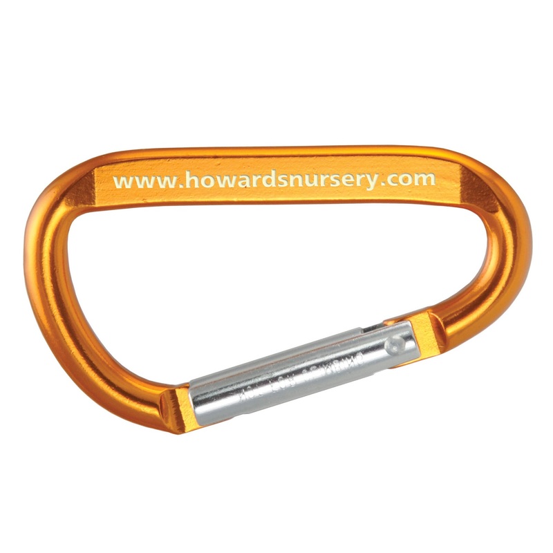 2" Small Carabiner