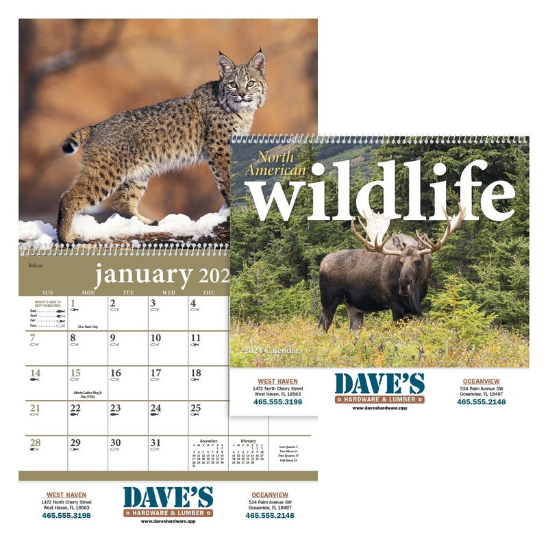 North American Wildlife